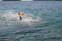 gal/cro 08/_thb_small-IMG_4924.JPG
